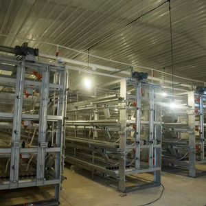 Jaula tipo H para avicultura, jaula para pollos - Product Image 1