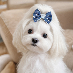 Fournitures pour animaux de compagnie, chiots de petite taille, animaux mignons, photos de style urbain, dessin animé, adorable, denim, nœud, pinces BB, accessoires, cheveux - Product Image 4