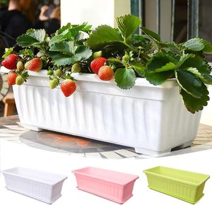Jardinière rectangulaire <span class=keywords><strong>en</strong></span> plastique de 60 cm de style corinthien pour jardin - Product Image 2