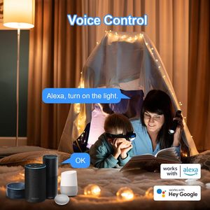 Ampoule LED Intelligente Antela E14 4.5W 470LM 2700K-6500K Contrôle par Application Graduable Filament A60 Corps en Verre Montage Plafond 25000 Heures Wi-Fi - Product Image 3