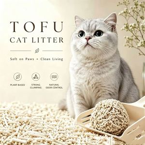 Vente directe usine OEM : Litière pour chat au tofu en bandes, aux saveurs personnalisées, à agglomération rapide, jetable dans les toilettes, pour un nettoyage optimal - Product Image 1