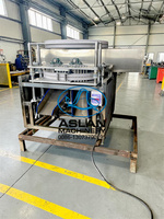 Groene Olijvenpitten Putmachine Olijvenkernen Machine