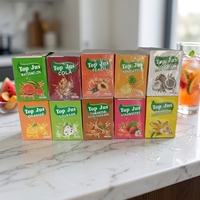 Poudre de boisson instantanée aromatisée aux fruits, 10g pour 2L d'eau, 24 sachets par boîte, 24 boîtes par carton, vente en gros, personnalisable