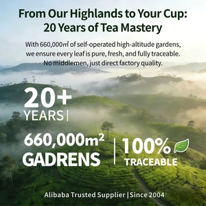 <span class=keywords><strong>ชา</strong></span><span class=keywords><strong>ไข่มุก</strong></span>กุ้ยโจว <span class=keywords><strong>ชา</strong></span>เขียวม้วน <span class=keywords><strong>ชา</strong></span>จีนกันพาวเดอร์ ปิงซุยจู<span class=keywords><strong>ชา</strong></span> งานฝีมือแบบดั้งเดิม บรรจุถุง เกรดหนึ่ง สารต้านอนุมูลอิสระ - Product Image 6