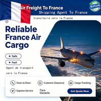 Agent de transport de fret, logistique, expédition aérienne vers la France, Marseille, service de transitaire, livraison, transport, entrepôt