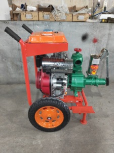 Motor Diésel de Alta Presión de 9.2/13 HP Totalmente Cerrado para Suministro de Agua Limpia a Larga Distancia en Plantaciones de Té, Café <span class=keywords><strong>y</strong></span> Olivos, Jardines <span class=keywords><strong>y</strong></span> Granjas - Product Image 2