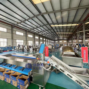 Trieuse ronde de fruits et légumes KLS Pommes de terre Oignons Tomates Taille orange Machine de triage à rouleaux - Product Image 4