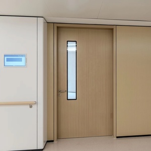 Puertas Interiores de Acero con Panel de Visión de Vidrio, Resistentes al Agua, con Acabado de Madera, para Escuelas, Aulas, Apartamentos, Hospitales y Hoteles - Product Image 1