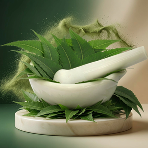 Fabricant de poudre d'extrait de Neem naturel, fournisseur en gros de qualité d'extrait de feuilles de Neem - Product Image 1