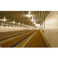 Ferme aviculture/poulailler volaille/poulailler à faible coût