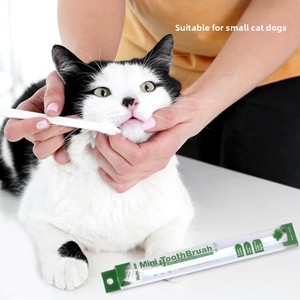 Groothandel Eenhoofdige Tandenborstel Voor Katten En Honden Mondreiniging Plastic Huisdierbenodigdheden - Product Image 5