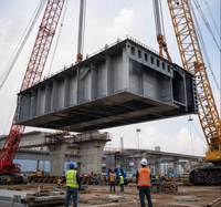 Puente de Estructura de Acero de Gran Envergadura para Proyectos de Tráfico Municipal