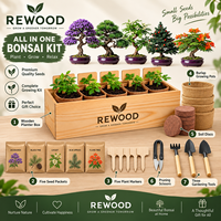 Kit de culture de bonsaï en gros avec boîte de plantation en bois, 5 variétés de graines, kit de démarrage DIY