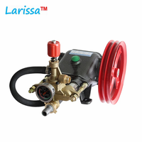 Penggunaan Pertanian Pompa Plunger Tekanan Tinggi Sabuk Drive Washer Pompa Semprot Peralatan Troli Mesin Bensin Power Sprayer
