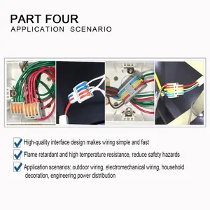 Splitter Electric Cable Mini Fast 2 Pin Wire Connector For Led Lighting Push-in Terminal Block Wire Conector With Colored hebel