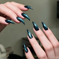 30 faux ongles longs pointus œil de chat, griffes de dragon, en ABS de haute qualité, griffes d'aigle, à presser, couverture complète pour les doigts