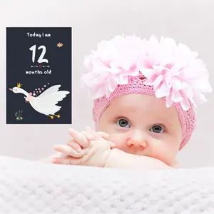 Custom Printing Hello World Birth Wooden Sign Baby Arrival Birth Shower Milestone Discs Baby Monthly Milestone Cards