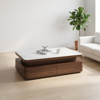 Table basse de salon et meuble TV en pierre microcristalline, style italien minimaliste moderne, couleur noyer
