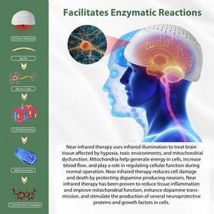 Lámpara de Fotobiomodulación, Neurofeedback, Casco de <span class=keywords><strong>Terapia</strong></span> de 1070 nm, Dispositivo Cerebral para Trastornos Ocupacionales, Parkinson, Pediátrico, para Alzheimer y Autismo - Product Image 3