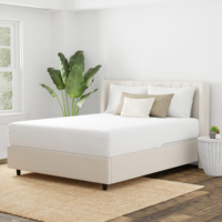 Housse de matelas zippée anti-punaises de lit et anti-acariens hypoallergénique pour lits King, Queen et Twin