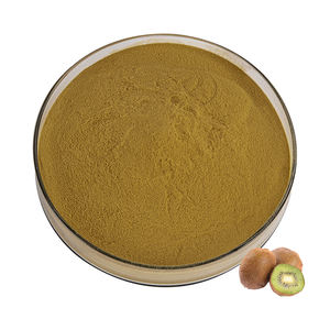 Pó de Extrato Herbal de <span class=keywords><strong>Kiwi</strong></span> Rico em Vitamina C 100% Solúvel em Água <span class=keywords><strong>10</strong></span>:<span class=keywords><strong>1</strong></span> Fornecimento em Lote em Embalagem de Tambor para Produtos de Saúde - Product Image 1