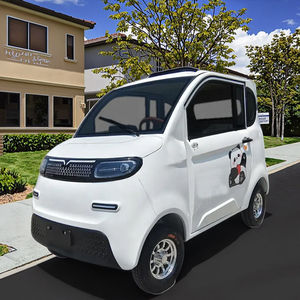 大人向け特別カスタマイズ 電動ミニ四輪車 1000W 60V 高品質 小型 電気自動車 低価格 - Product Image 1