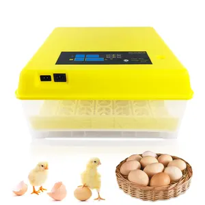Mini Chicken Egg Incubator Intelligent Control Automatic Egg Incubator HT-56 Hot On Sale
