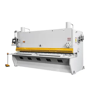 Unexceptionable price but high quality Raymax QC11Y hydraulic guillotine sheet metal shear bending machine