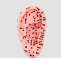 Modèle d'entraînement de Classe I LuoYaShanChuan en PVC, modèle des zones d'acupuncture et de réflexologie auriculaire 13CM, fabriqué en Chine pour la thérapie auriculaire