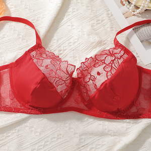 Reggiseni Plus Size per Donne, Servizio di Personalizzazione Logo e Etichetta, Lingerie Rossa in Pizzo Floreale Push-Up per Signore Sensuali - Product Image 4
