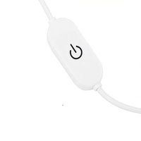 Câble de commutateur de gradation tactile Usb 2A 5V 1.5M Usb 2.0A à 2 fils sortie 5-100% contrôleur de gradateur pour bandes lumineuses LED monocanal