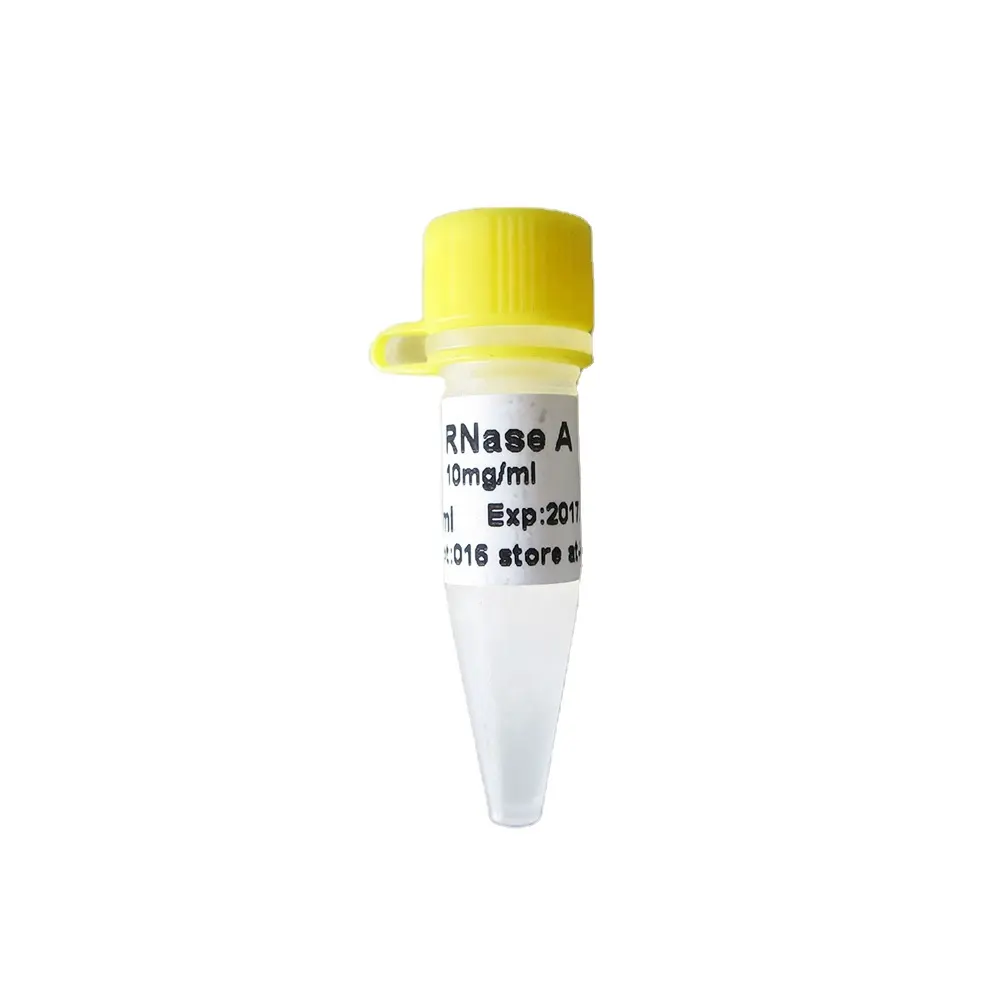 Rnase uma solução, 3000 u/mg 10 mgs ml 100 mgs ml n9041/n9042