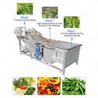 Hnoc Heavy Duty Automatische Champignonwasmachine Reinigt 250Kg Warm Water Wasmachine Voor Fruit En Groenten
