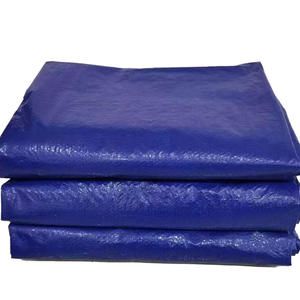 2025 nuevo rentable personalizado impermeable tejido Anti-UV PE recubierto estilo simple lona resistente 12mil tienda de coche de Color personalizado - Product Image 1