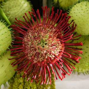 Fiori Artificiali in Resina Fatti a Mano per Decorazione di Ville e Appartamenti, Composizioni Floreali Moderne e Durature, Vendita all'Ingrosso - Product Image 5