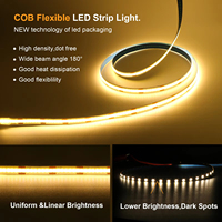 Bande Lumineuse COB Flexible WEPPGO DC 12V 24V 320D 8MM, Certifiée CE RoHs, Vente en Gros de Rubans LED 3000K 4000K 6000K