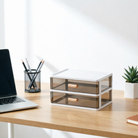 Bureau Mini Tiroirs De Rangement Bijoux Conteneur Boîte Bijoux Cosmétiques Mini Cabinet Organisateur 2 Couches