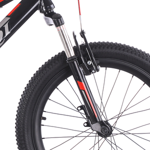 Bicicleta de Montaña de 20 Pulgadas con Cuadro de Acero, Una Velocidad, Frenos de Disco, <span class=keywords><strong>para</strong></span> Niños y Niñas, Ciclismo Deportivo al Aire Libre - Product Image 5