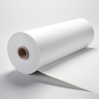 Rollo Jumbo de Material Transparente Brillante para Láser: BOPP, Vinilo, PVC, PET, PP, Papel Sintético y Material Autoadhesivo