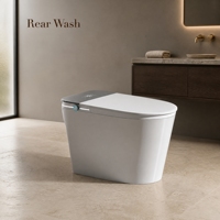 WC intelligent avec bidet en céramique, norme australienne, siège chauffant, chasse d'eau automatique et télécommande