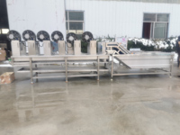 Fruit En Groente Reiniger Machine Tomaat Fruit Wasmachine