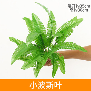 Planta Artificial Decorativa de Hojas Persas de 30 cm, Hecha de Plástico, para Decoración del Hogar, Bodas y Exteriores - Product Image 3