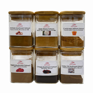 Cung cấp Nhà Máy 99% di động bị hỏng Hữu Cơ duanwood Reishi Nấm chiết xuất hạt giống Reishi bào tử triterpenes - Product Image 6