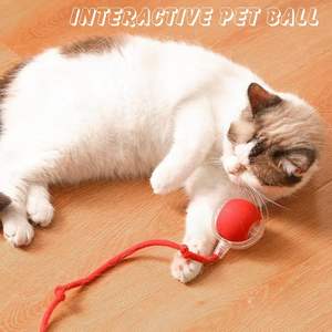 Venta al por mayor 2025: Pelota inteligente interactiva Speedy Tail para mascotas y juguetes de movimiento, ¡gran éxito! - Product Image 3