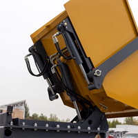 Hochlastfähiger Benzinbetriebener Hydraulischer Mini-Raupendumper mit Gummiketten 1 Jahr Garantie Hocheffiziente Pumpe & Getriebe