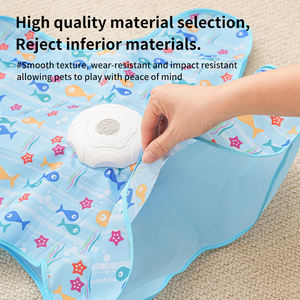 Jeu 2-en-1 Cache-Cache pour Chat : Jouet Interactif avec Plumes Dissimulées dans un Sac, Activé par le Mouvement pour l'Exercice et la Chasse du Chat - Product Image 3