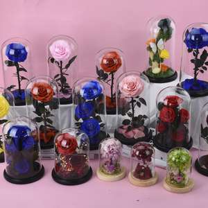 Rosa Preservada del <span class=keywords><strong>Principito</strong></span> Más Vendida, Rosas Inmortales en Cúpula de Cristal con Caja de Regalo y LED para Navidad, Venta al por Mayor - Product Image 6