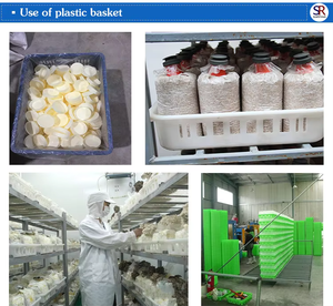 Cesta de Cultivo de Hongos de Plástico Reutilizable de Grado Alimenticio, Ventilada para la Producción de Micelio/Incubación/Fructificación - Product Image 4