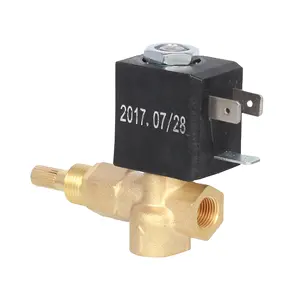 Yongchuang 5531series CEME simillar12v ipg gas flowrate adjustable kuningan miniatur katup solenoid