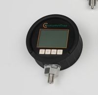 Manomètre numérique série 324 OEM ODM